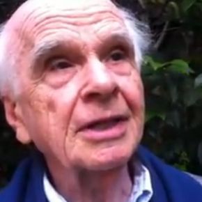 La necessità di essere verde,&nbsp;oggi