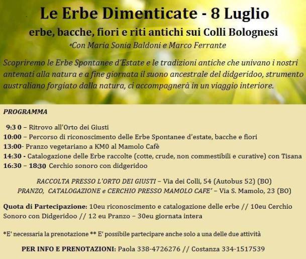 Le erbe dimenticate