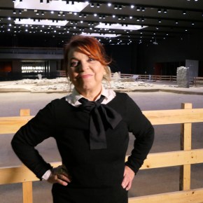 L’area megalitica di Saint Martin de&nbsp;Corléans