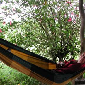 Il giallo della Baronessa di&nbsp;Floreana